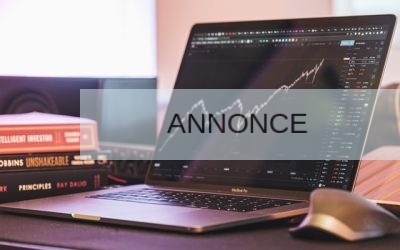 Leder du efter en investeringsrådgiver?