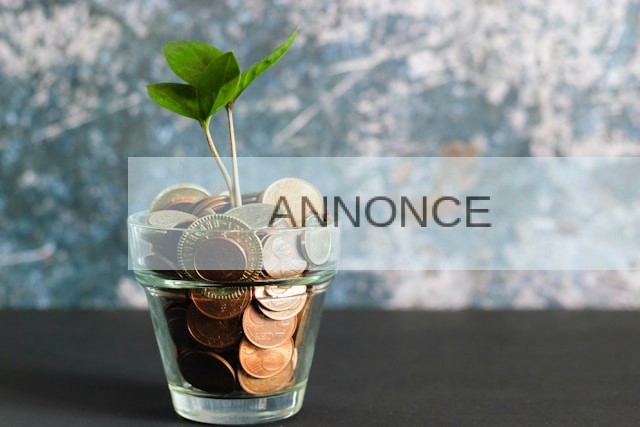interim cfo