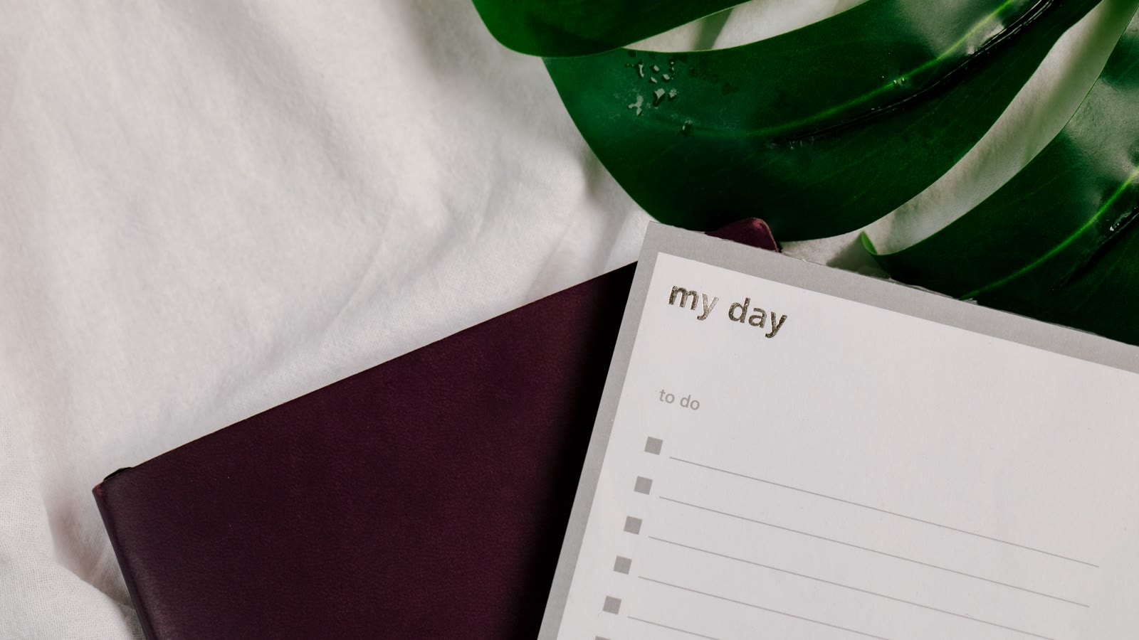 Notesbog med en to-do-liste og grønne planter